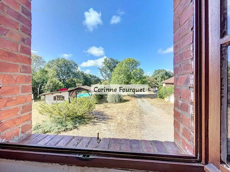 Maison de Maître avec Dépendances - Gîte - Piscine - Parc - photo 12