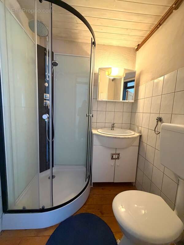Propriete à vendre 8 pièces MONTEGUT (65) - photo 16