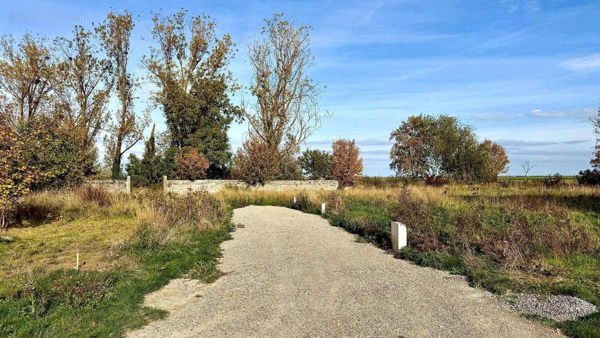 Photo 3 - Terrain à MONCEAU-LE-WAAST