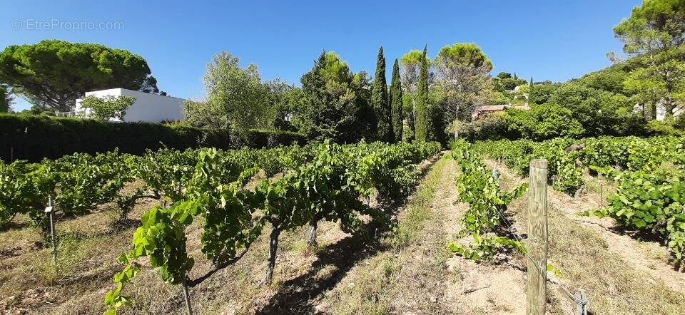 Terrain à DRAGUIGNAN