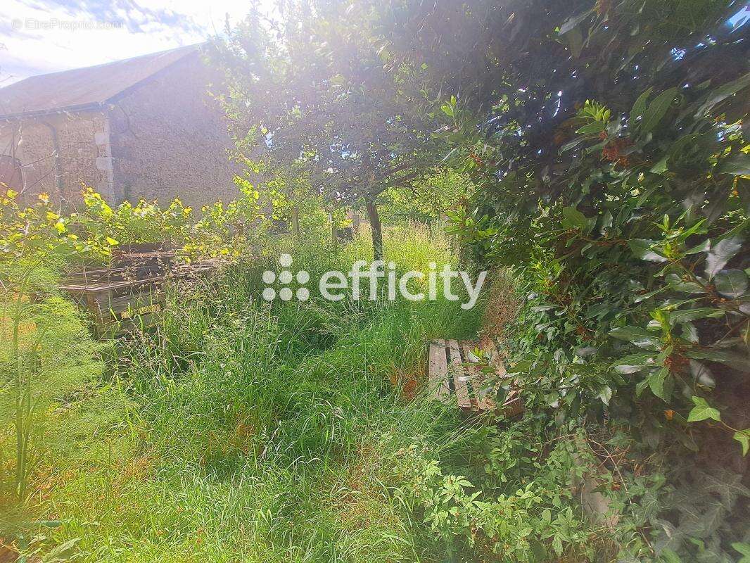 Maison à NEUILLE-PONT-PIERRE