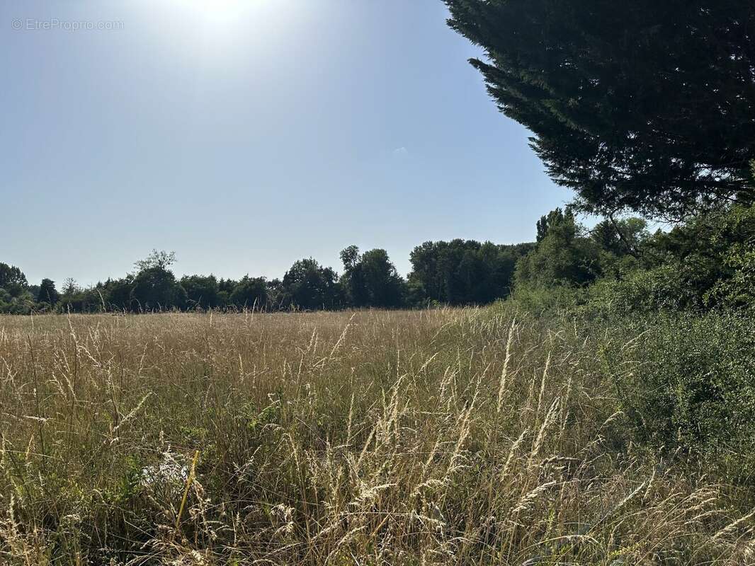 Terrain à LA COUR-MARIGNY