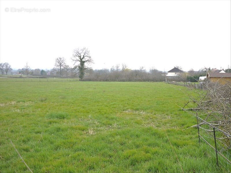 Terrain à BOURBON-L'ARCHAMBAULT