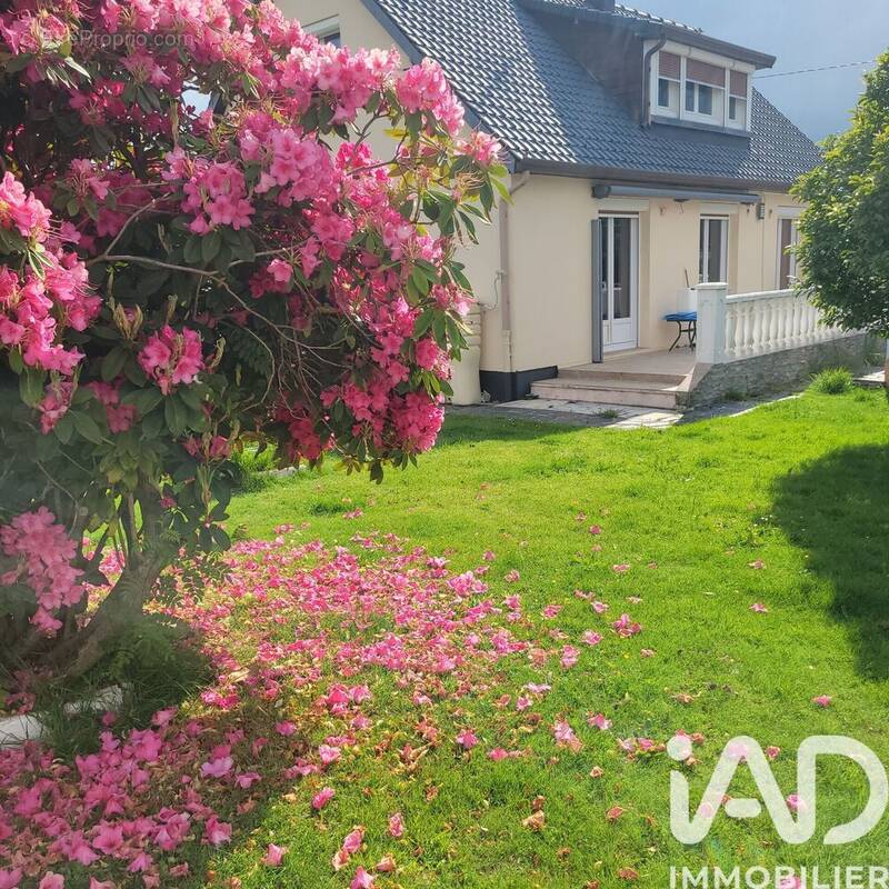 Photo 1 - Maison à LA CERLANGUE