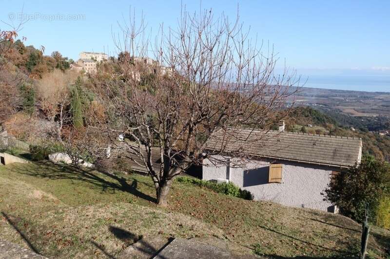 Maison 5 pièces vue panoramique  mer et montagne à PENTA DI CASINCA (20) - photo 29