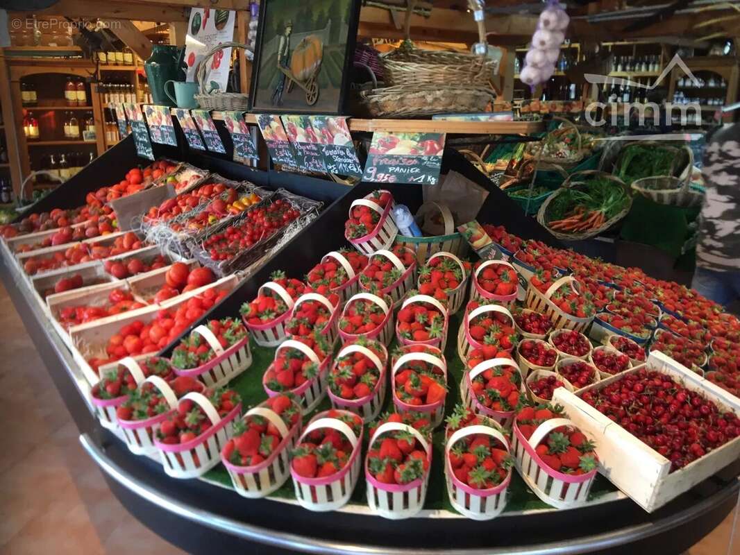 Commerce à VAUNAVEYS-LA-ROCHETTE