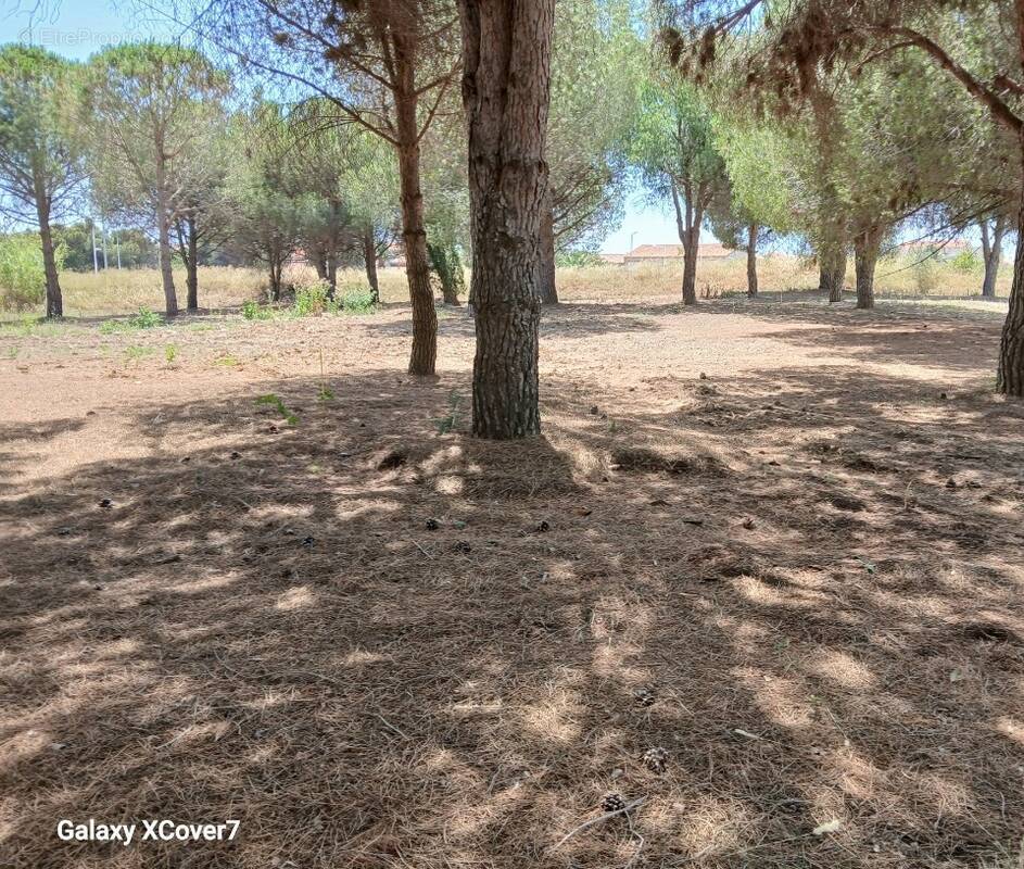 Terrain à PERPIGNAN