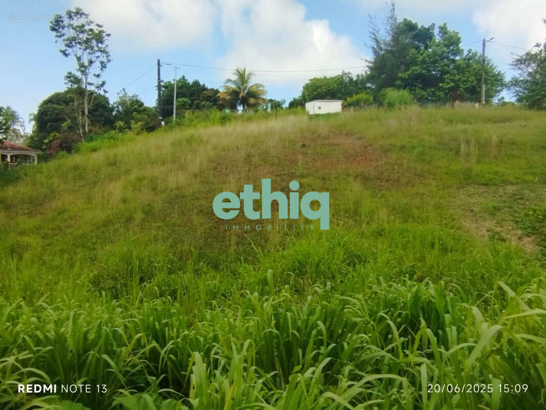 Terrain à PETIT-BOURG