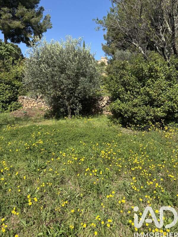 Photo 4 - Terrain à LA GARDE