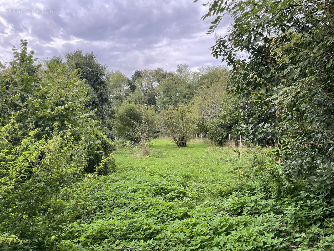 Maison à CASTILLON-LA-BATAILLE
