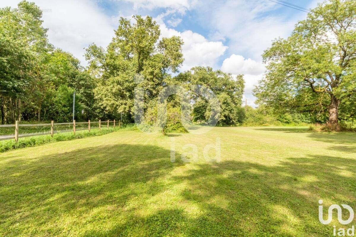 Photo 1 - Terrain à NIBELLE