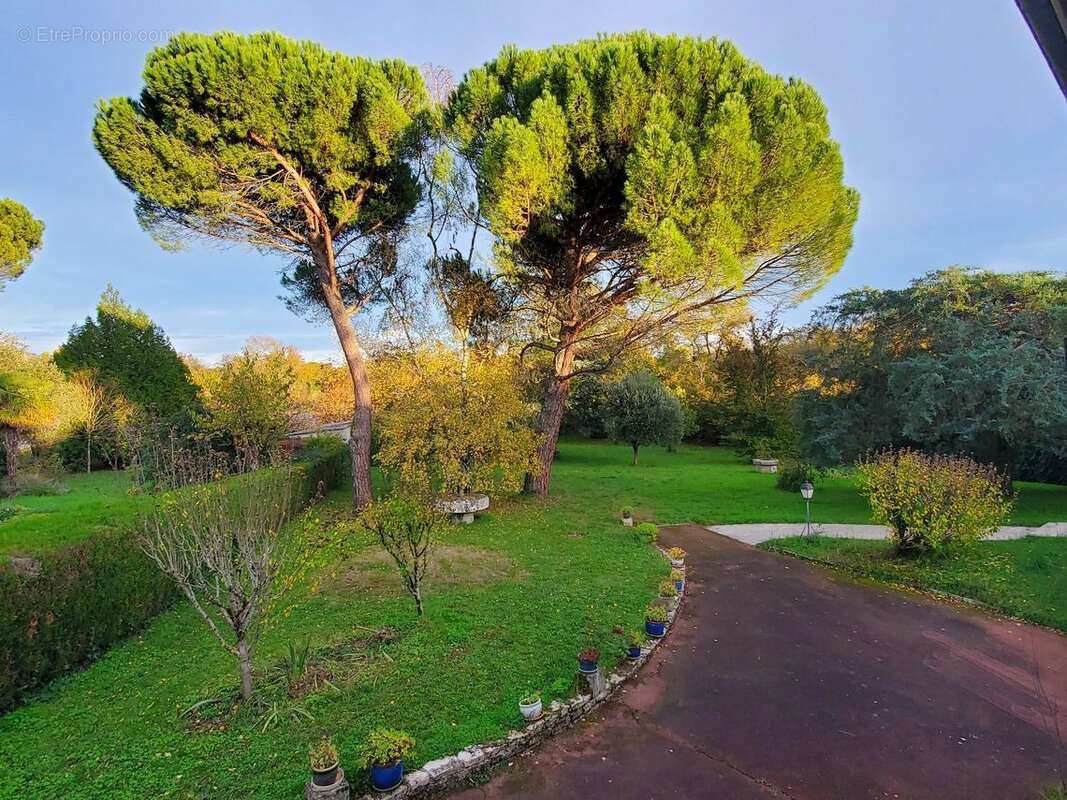 Photo 7 - Maison à CHAMPNIERS