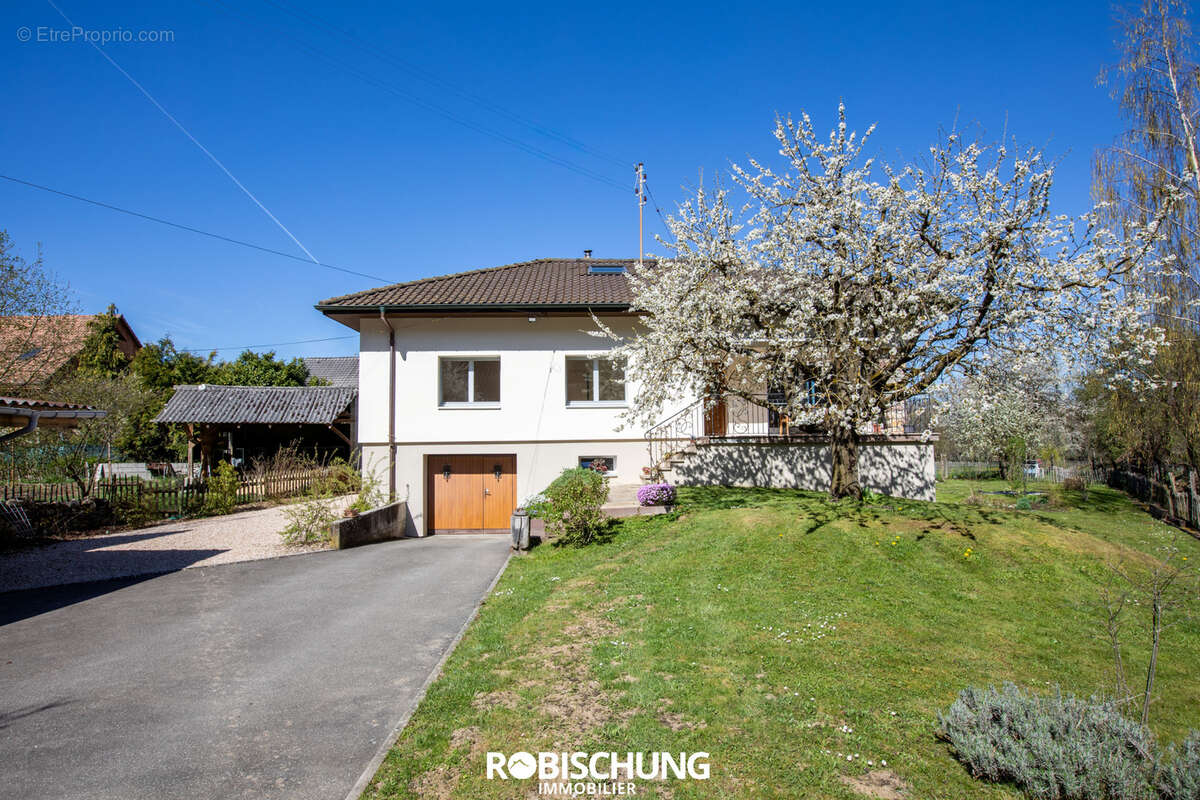 Maison à BIEDERTHAL