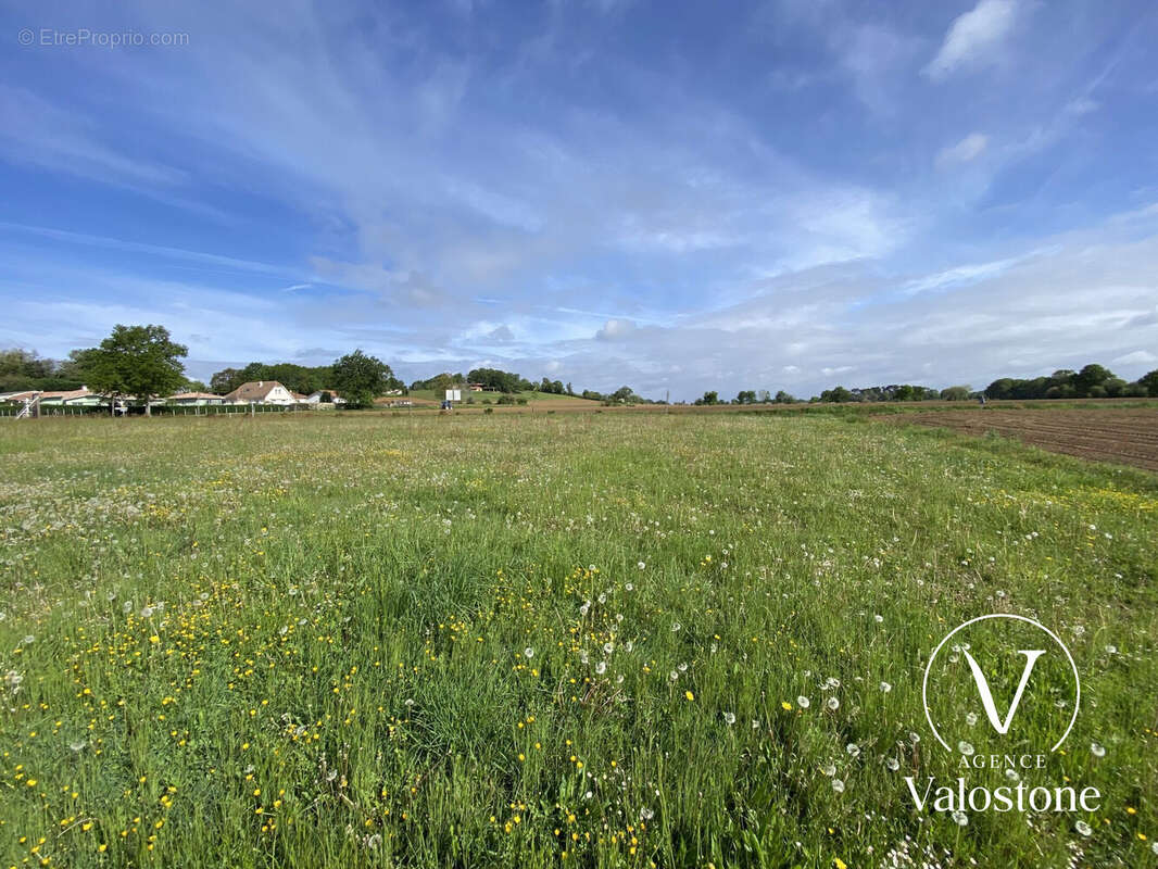 Terrain à MIRAMONT-SENSACQ