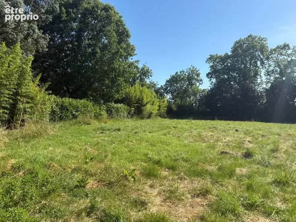 Terrain 1 410 m² à vendre à Saint-Sauveur (31790) - photo 1