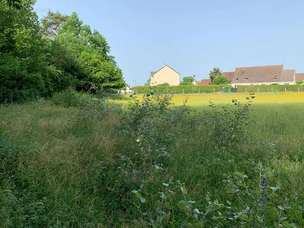 Terrain de loisirs Athies Sous Laon - photo 7