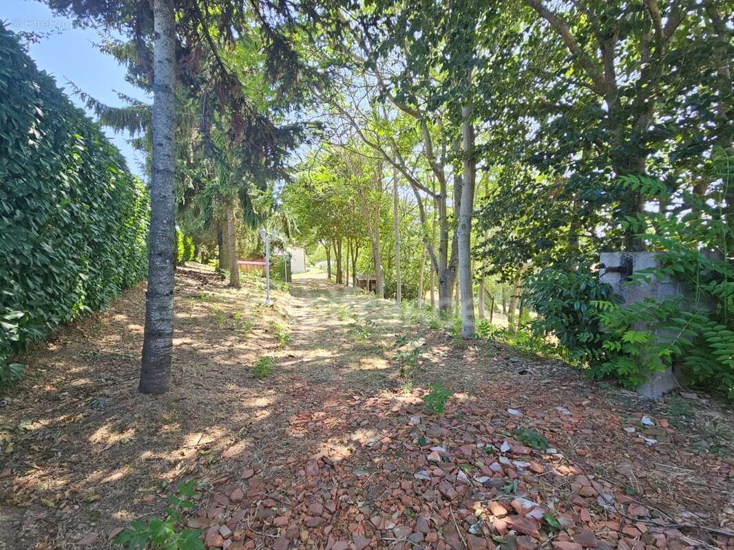 Maison individuelle, 3 chambres, 2254m2 de jardin clos, arboré et aménagé, au calme, pas de voisinage proche, exposée sud, 1h de - photo 2