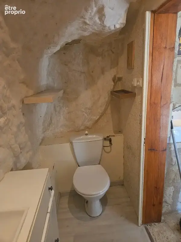 Ensemble troglodytique atypique à Avoine   3 espaces indépendants   Fort potentiel locatif - photo 19