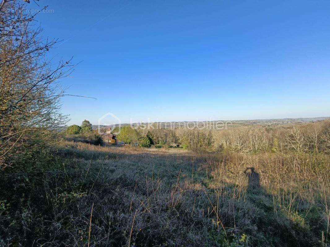 Terrain à LE BUISSON-DE-CADOUIN