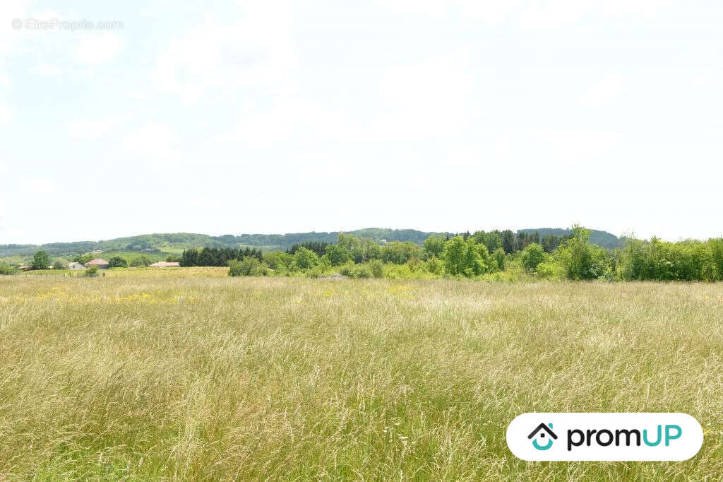 Terrain à SAINTE-LIVRADE-SUR-LOT