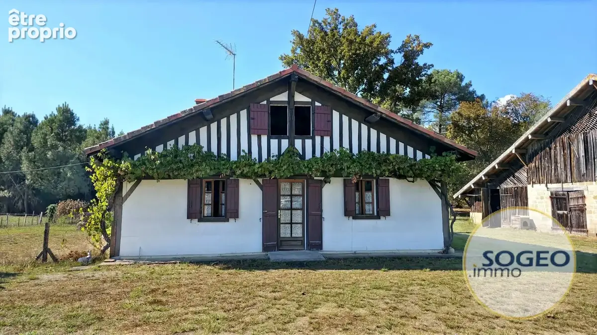 Maison landaise à colombages – Grand airial de plus de 8 000 m² et nombreuses dépendances - photo 4
