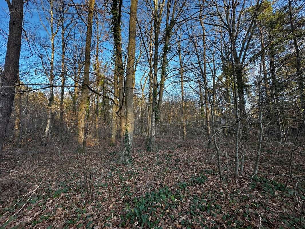 Terrain à NOISY-SUR-ECOLE
