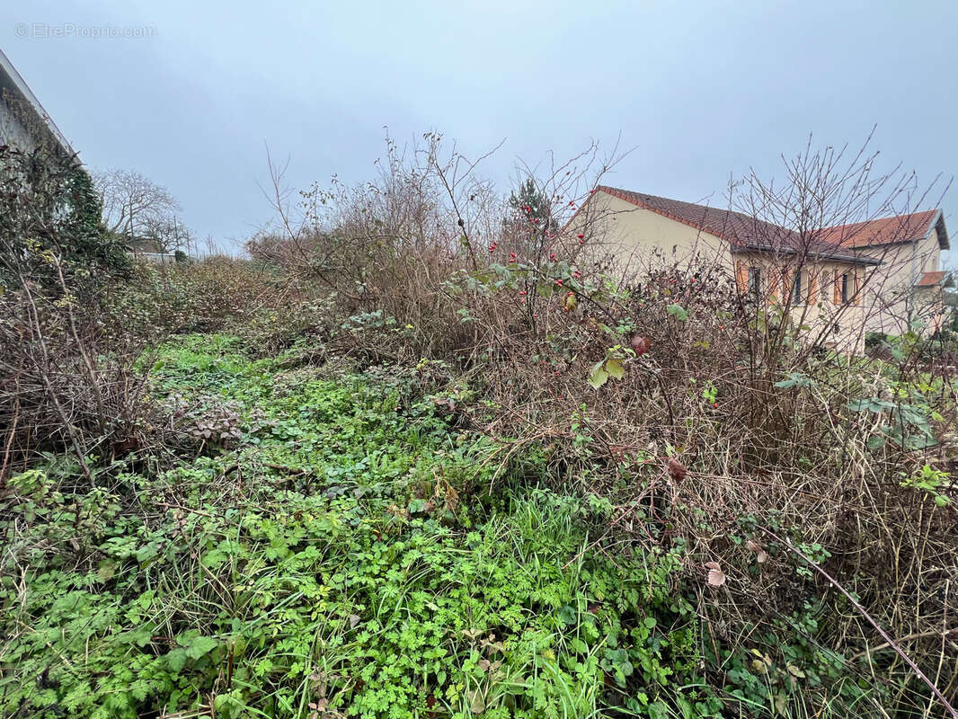 Terrain à VARANGEVILLE