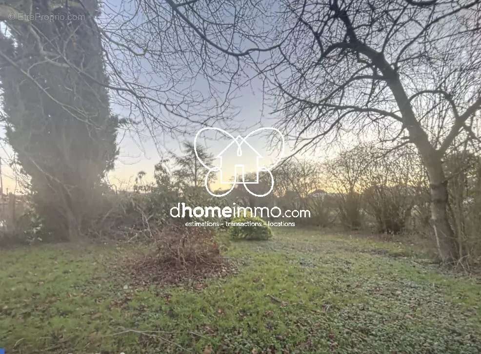 Terrain à MONCHEAUX