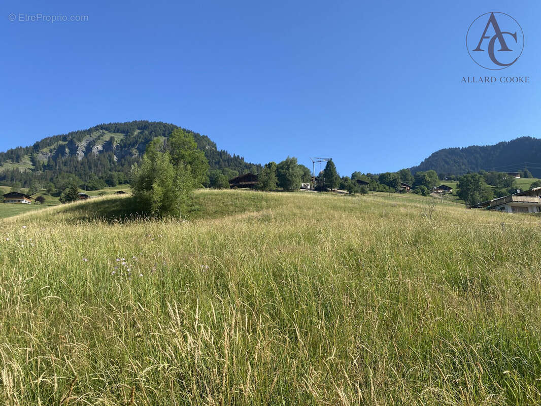 Terrain à PRAZ-SUR-ARLY