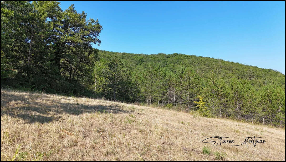Terrain à SAINT-GERMAIN-DU-BEL-AIR