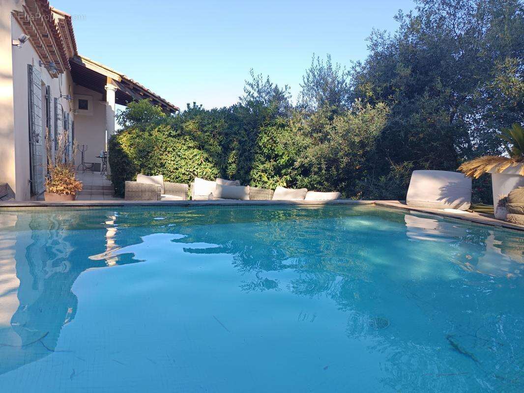 Belle maison 20 mns d'Arles terrain arboré, piscine, garage - photo 3