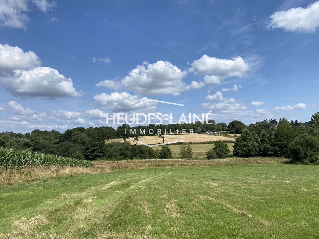 GRANDPARIGNY - Terrain à bâtir - 50600 - photo 3