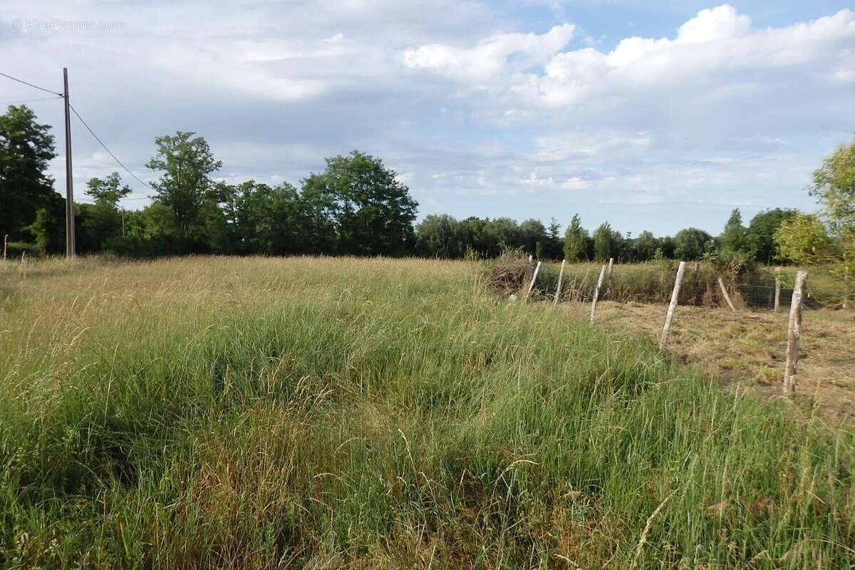 A vendre Terrain agricole à Samazan (47250) - photo 3