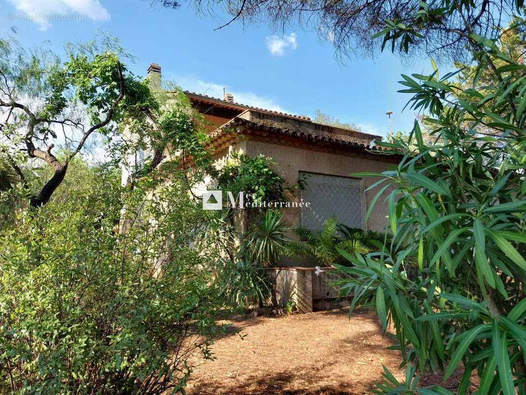Maison à GRIMAUD