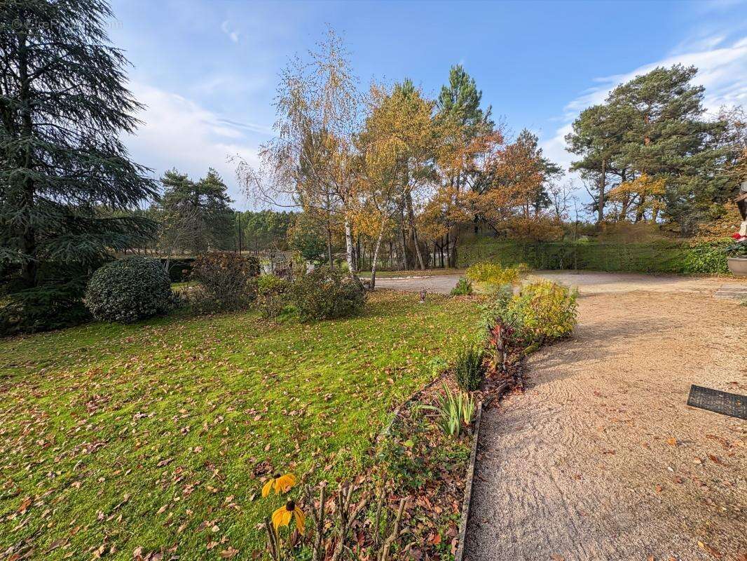 Maison à SOINGS-EN-SOLOGNE