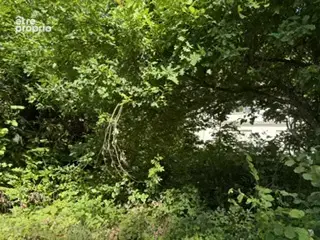 Maison plain-pied 4p avec 25.48 ares en bord de forêt à rénover - photo 21