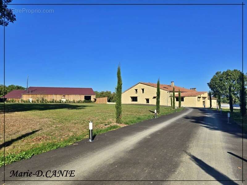 Domaine de prestige avec maison, gîte et dépendances, dans le Nord du Gers, à La Romieu, aux portes des Landes et du Lot-et-Garo - photo 24