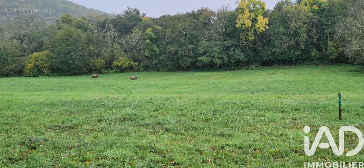 Photo 3 - Terrain à ISSAC