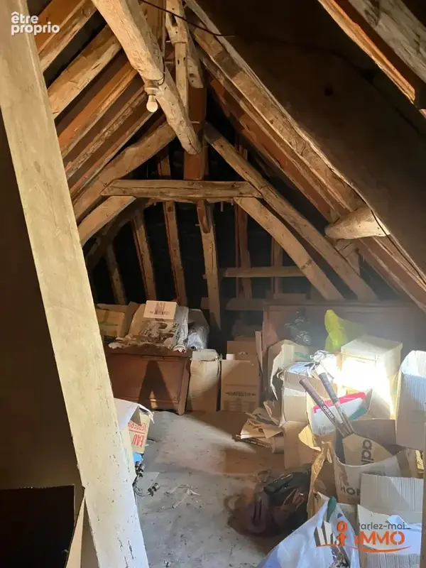 Belle longère aux abords de Sancerre, parc 13000m2 avec piscine - photo 28