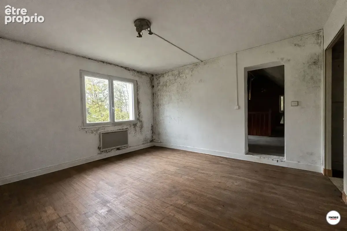 Maison 284m2  4755m2 de terrain - photo 18