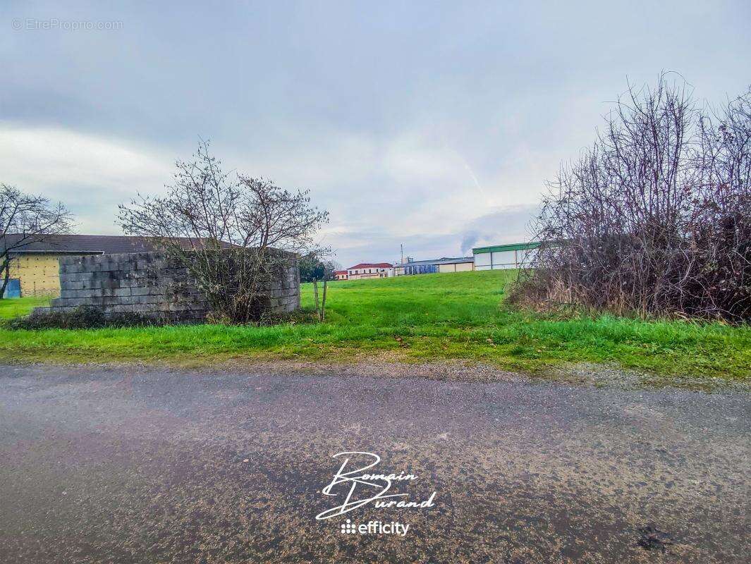 Terrain à SAINT-TRIVIER-DE-COURTES