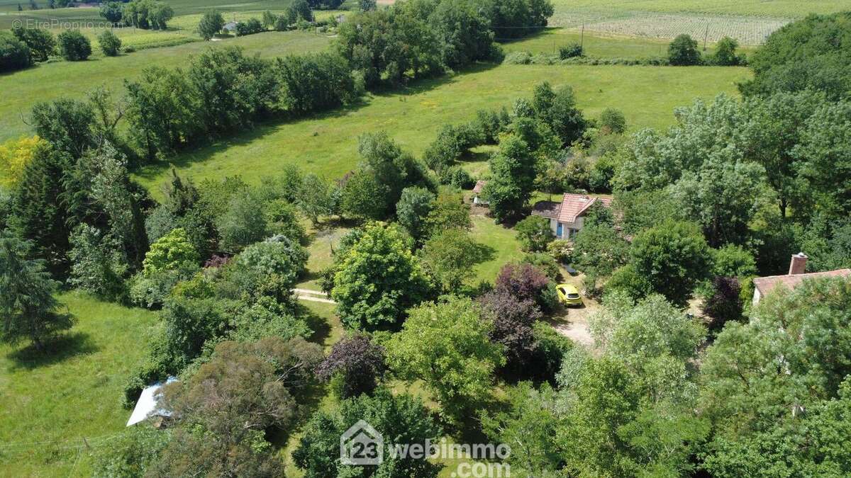 Maison 315 m² à Vic-Fezensac  - photo 18