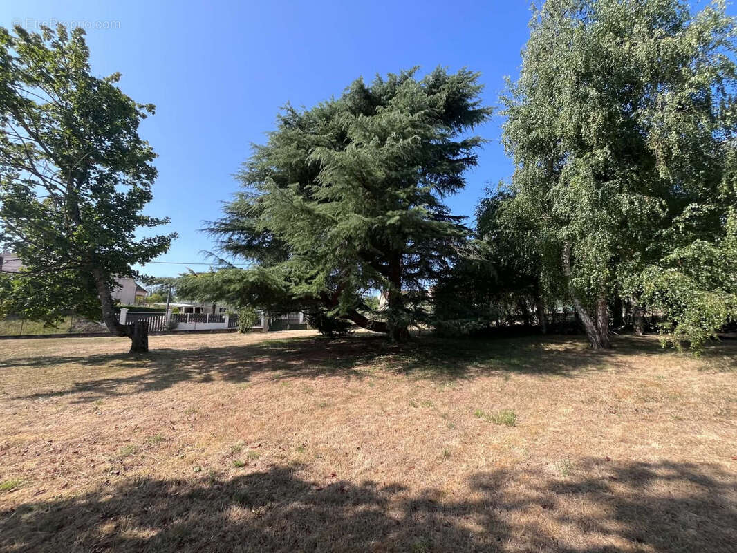Terrain 1110 m² à Charbuy  - photo 5