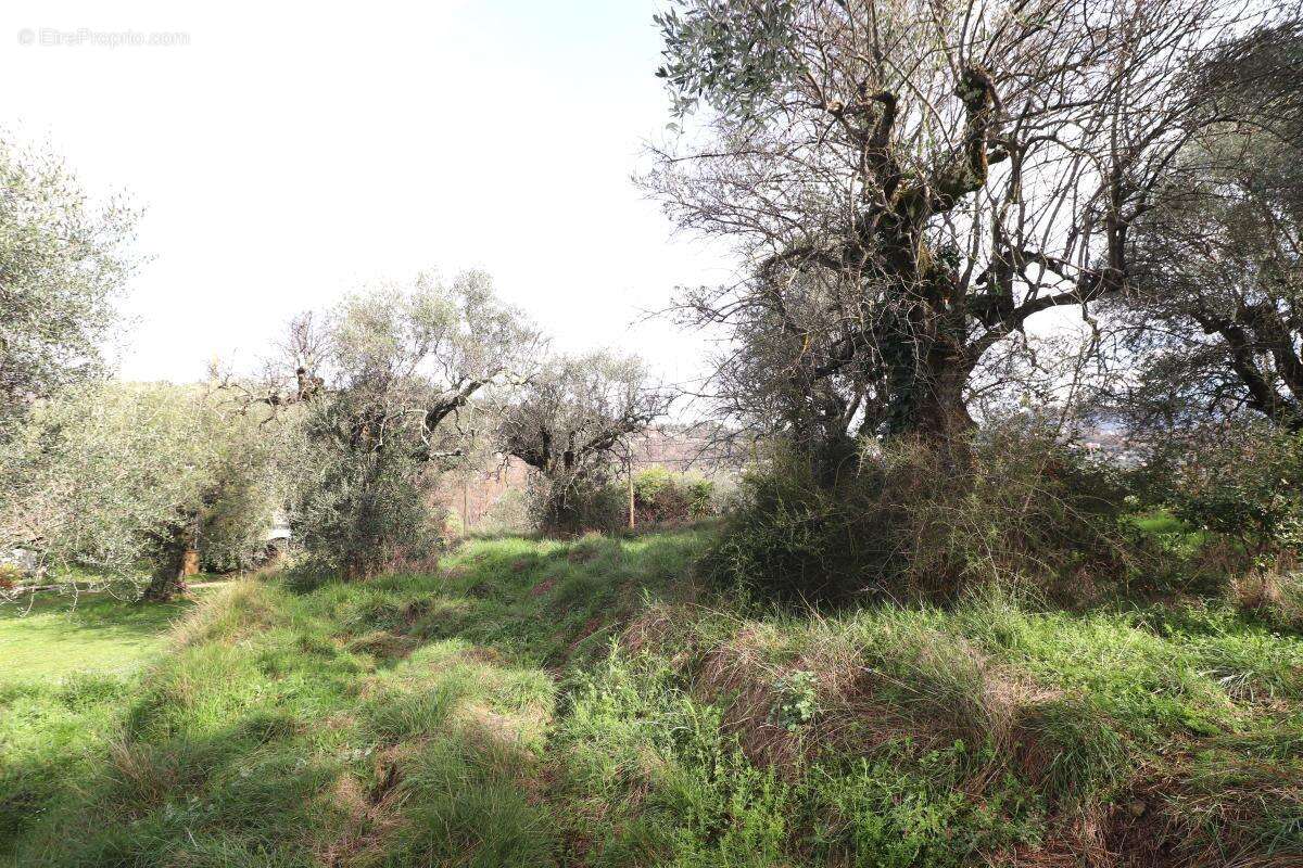 Terrain à CONTES