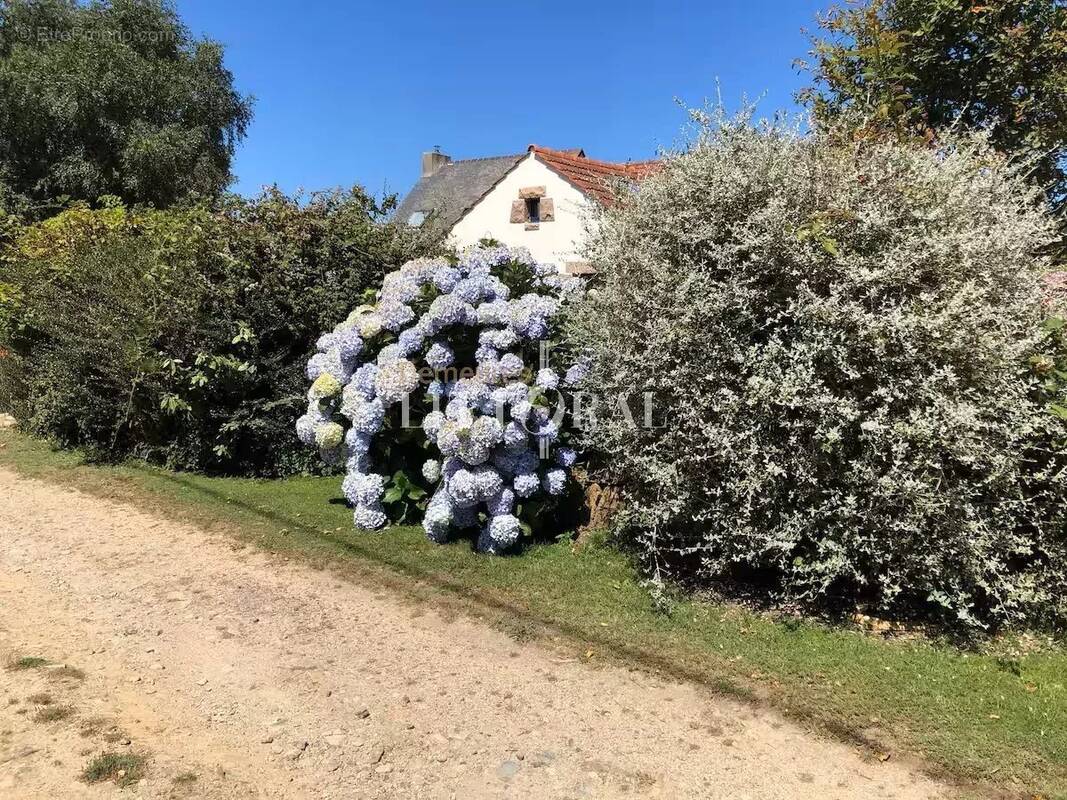 Maison à PLEUMEUR-BODOU