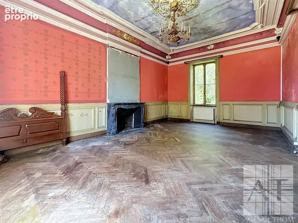 Château du Domaine avec parc de 4 084 m² - un projet de restauration unique! - photo 3