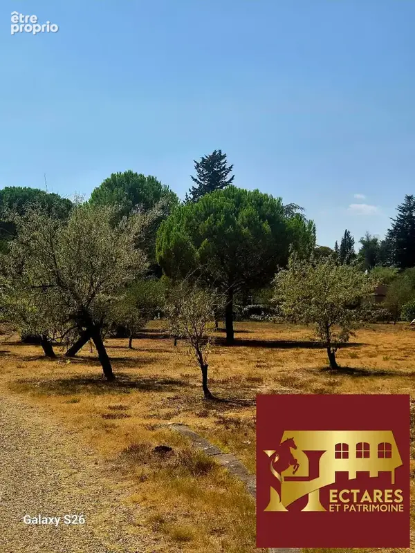 Propriété de charme sur 1ha de terrain au calme absolu sans être isolé - photo 11