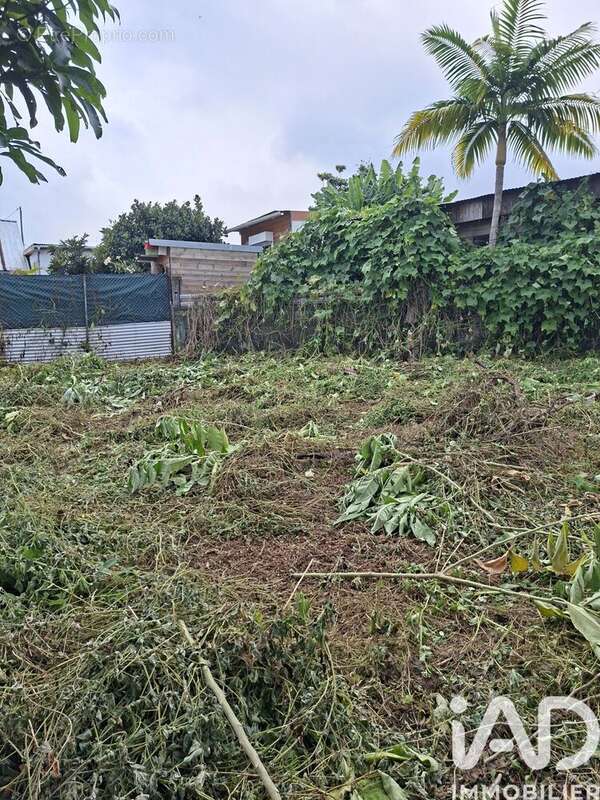 Photo 7 - Maison à LE TAMPON