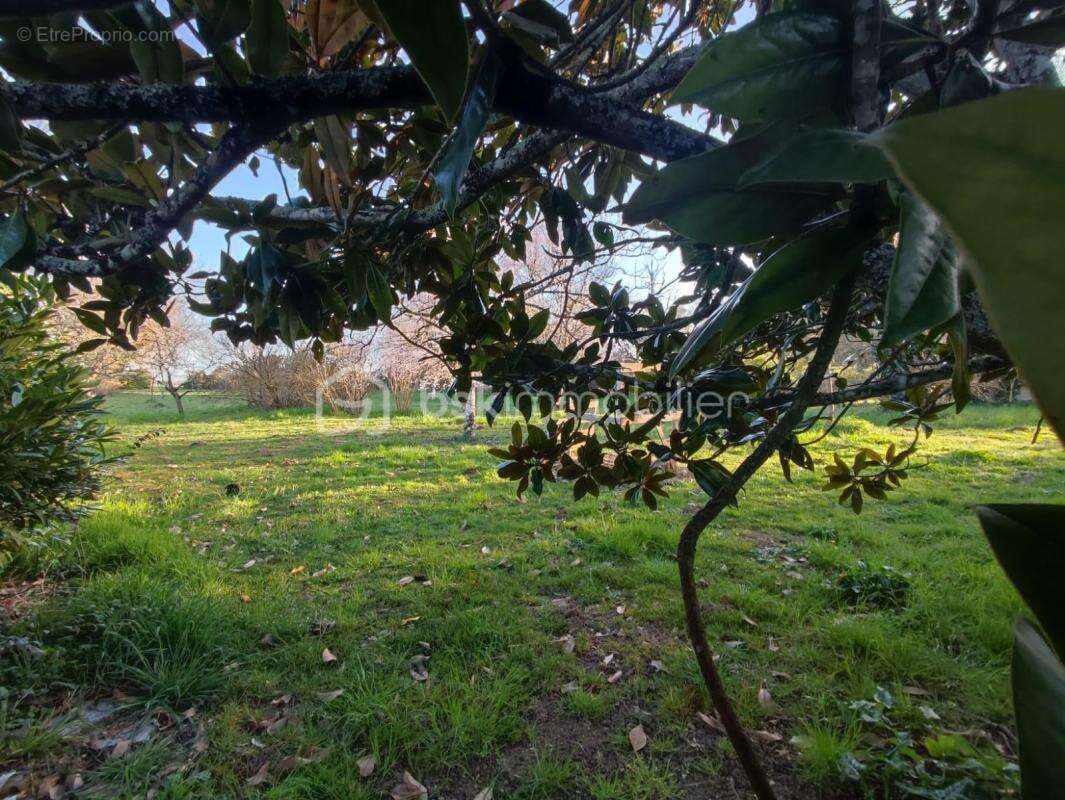 Maison à COUFOULEUX