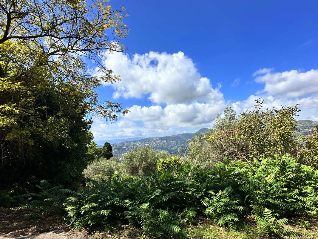 Terrain à LA TRINITE